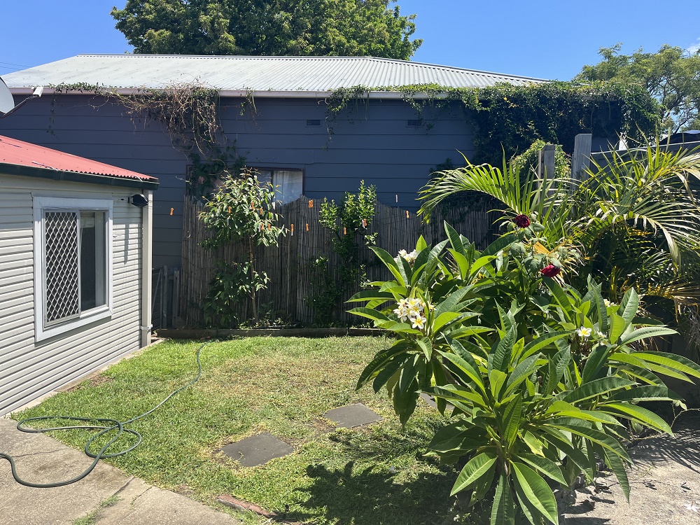 Room for rent in Mayfield East share house rear courtyard